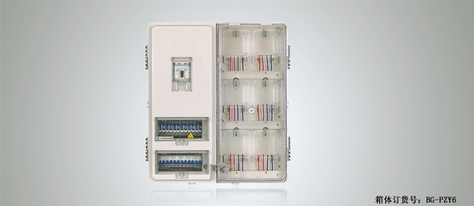 单相六位预付费式电表箱(左右结构)